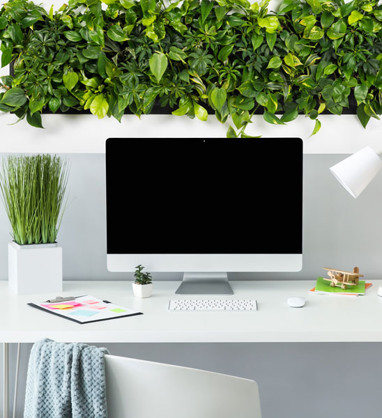 XXL Pflanzenbild für die Wandbegrünung im Büro und zu Hause
