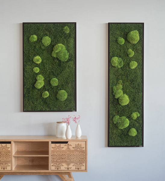 Verschiedene Moosbilder als Wanddeko im Wohnzimmer