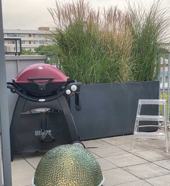 Pflanzkuebel Raumteiler Fiberglas Anthrazit auf Terrasse als Sichtschutz mit Schilfgras