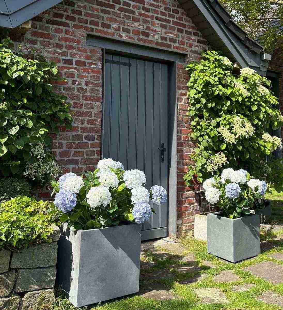 Pflanzgefäss Betonoptik im Garten
