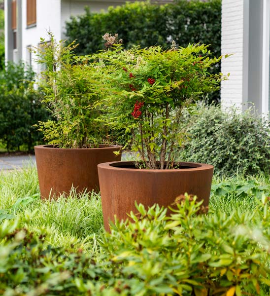 Pflanzgefäß CADO konisch, rund aus Cortenstahl mit Baum