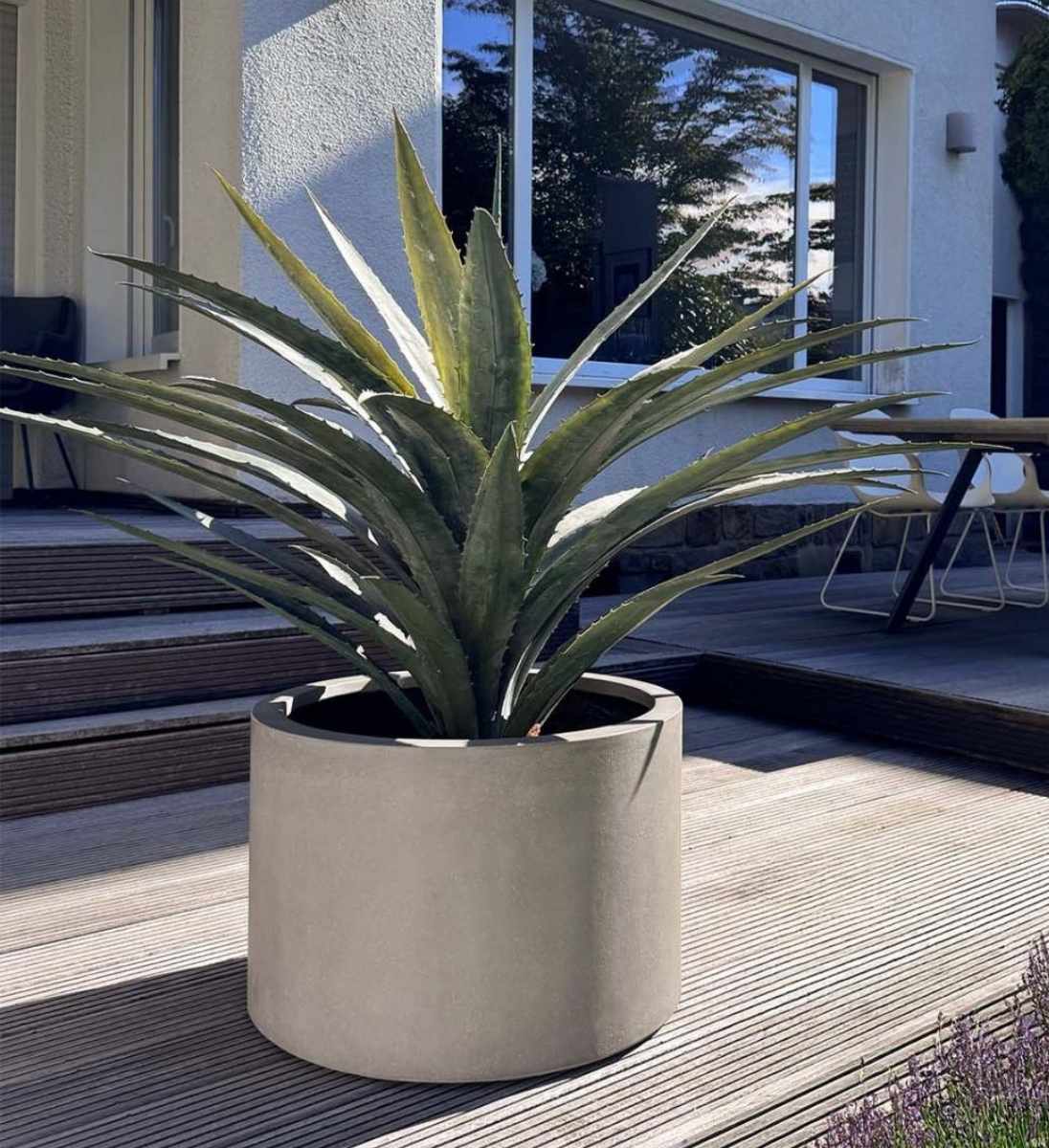 Beton Pflanzgefäß ZYLINDER mit Agave
