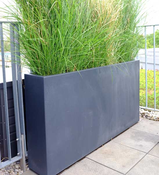 XXL Fiberglas-Pflanzkübel in Anthrazit mit Olivenbaum
