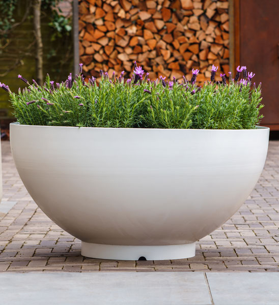 große XXL Pflanzschale aus Aluminium weiß mit Lavendel bepflanzt