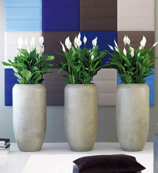 Pflanzvase Beton-Optik Grau für Büro