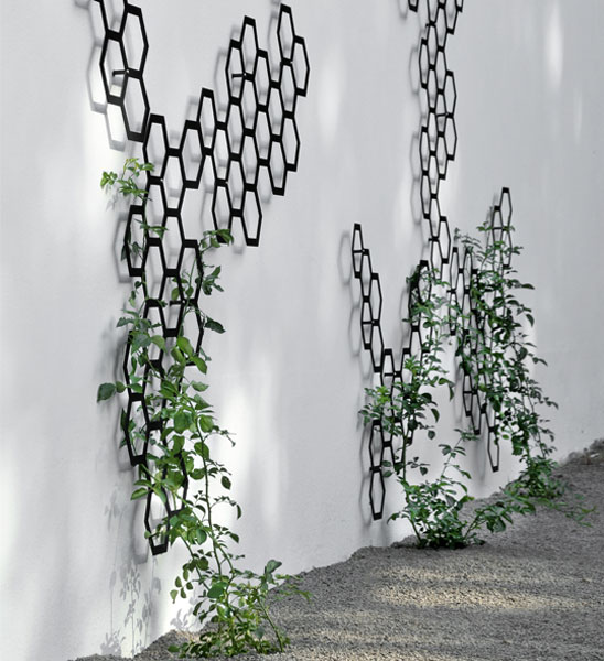 Mehrere Rankgitter Combination von Flora in verschiedenen Größen kombiniert an weißer Wand, berankt mit Kletterpflanzen