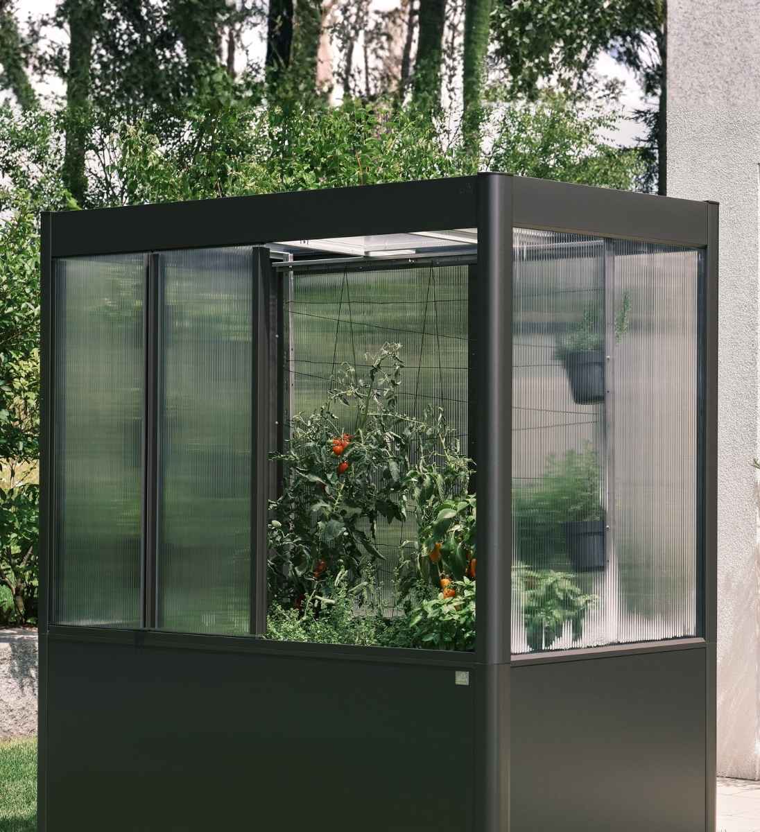 Biohort FLORENTINA Gewächshaus Schiebetüren an der Längsseite