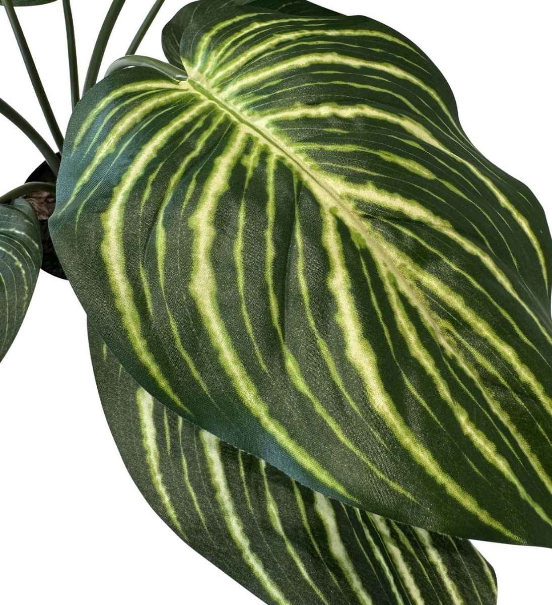 Nahaufnahme der Blätter der Calathea Kunstpflanze