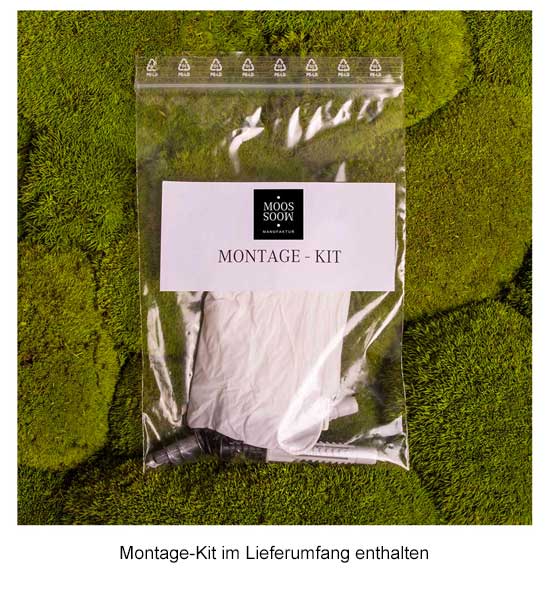 Montage Kit Moosbild Hortensien