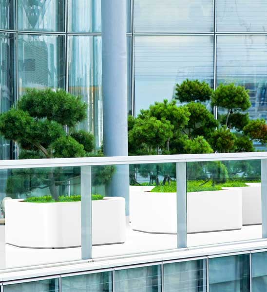 Pflanzkübel Shape Fiberglas für große gewerbliche Terrassen