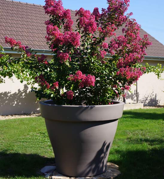 Pflanzkübel XXL in Taupe für den Garten