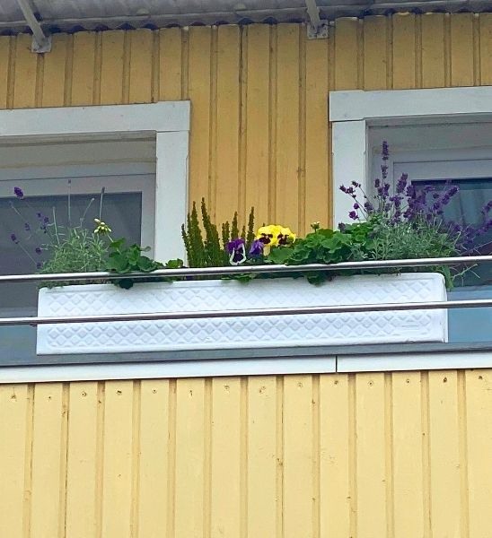 Balconia Eternit Decor Weiss 100 Cm Bepflanzt