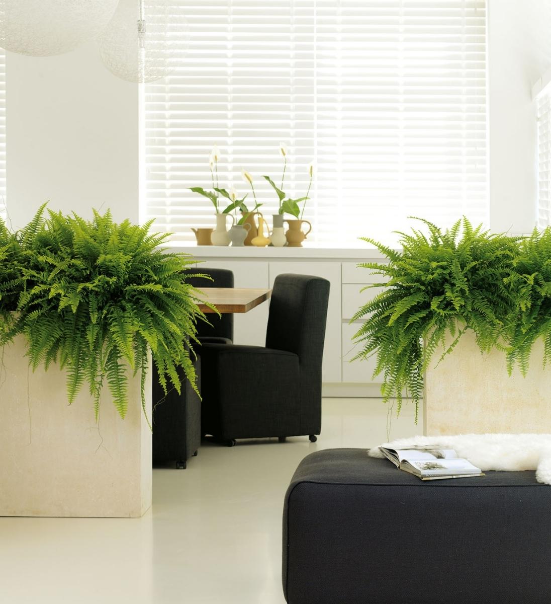 Blumenkübel Raumteiler Beige im Büro