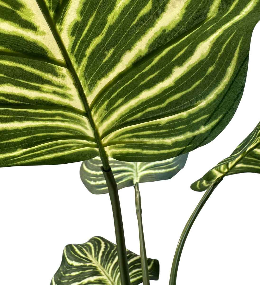 Detailaufnahme der Stängel und Blätter der Calathea Kunstpflanze