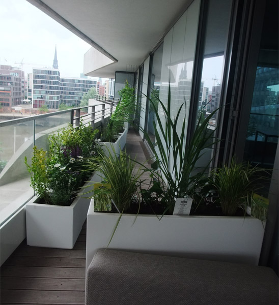 Fiberglas Pflanzkübel weiß eckig auf Terrasse