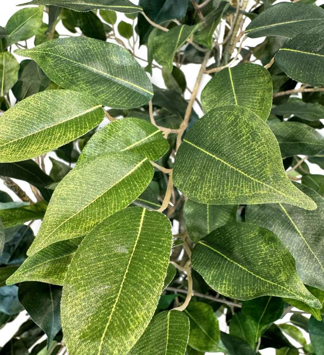 nahaufnahme.jpg Nahaufnahme der grünen Blätter der künstlichen Ficus Birkenfeige mit authentischer Maserung