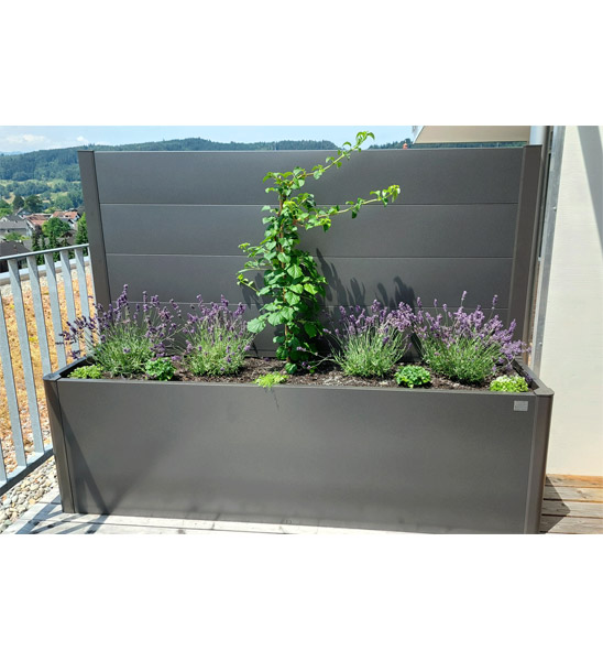 Pflanzbeet Belvedere von Biohort als Sichtschutzelement für Balkone