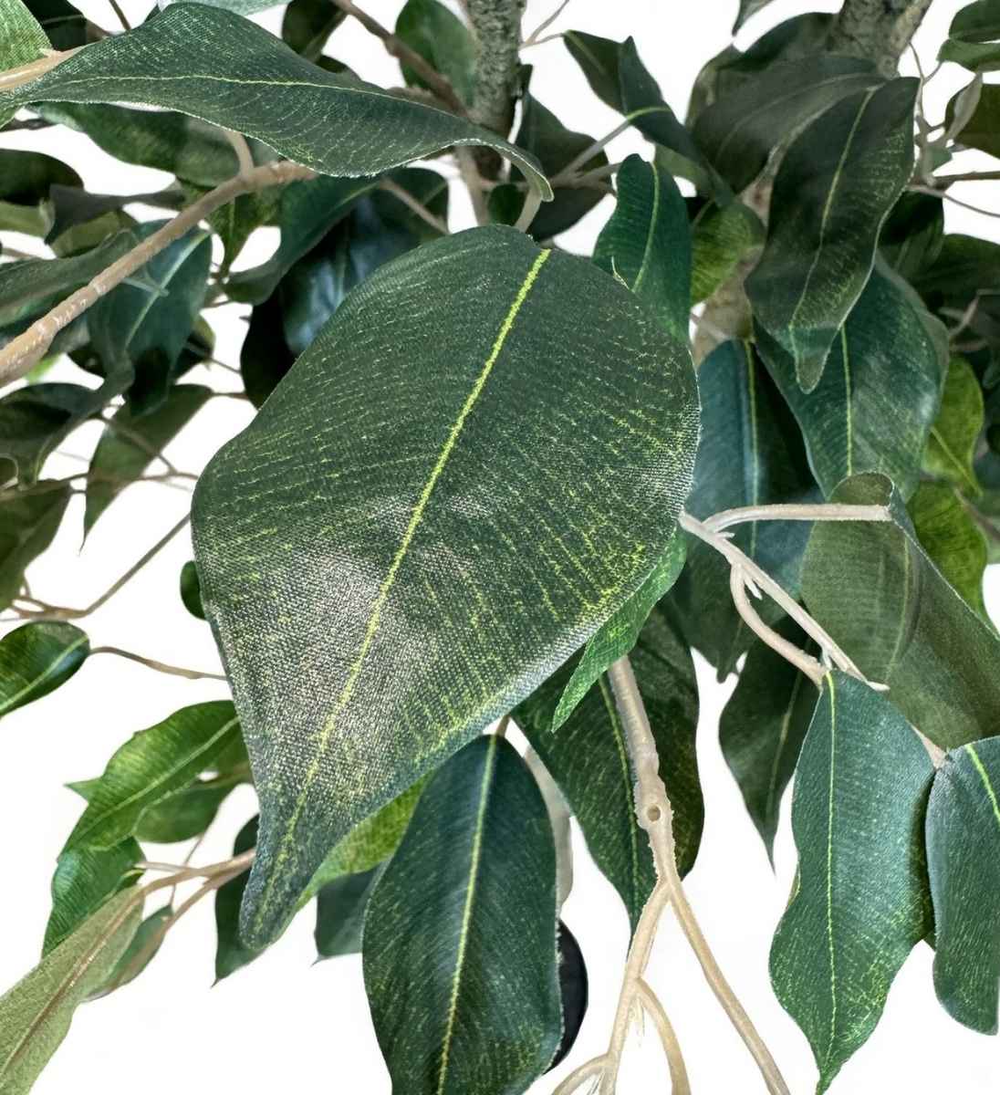 Künstliche Ficus Blätter mit feiner Textur und natürlicher Farbnuance – Birkenfeige Detail