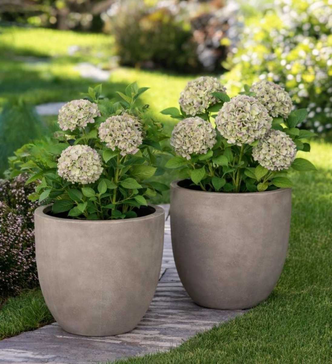 Hortensien Kunstpflanze im Beton Pflanzgefäß als Ambientefoto im Garten