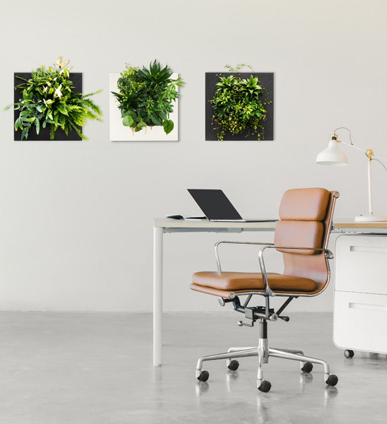 LivePicture Go Bamboo als gründe Wanddekoration im Büro