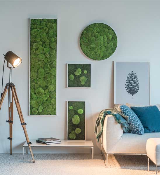Moosbilder Greenbop 01