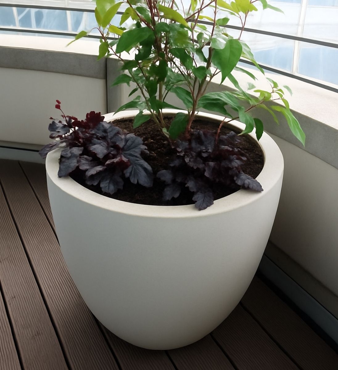 Pflanzkuebel rund beton beige bepflanzt auf balkon