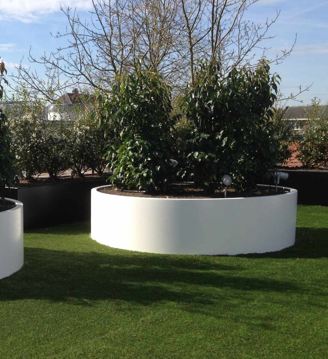 Pflanzkübel XXL oval Aluminium Ellipse bepflanzt mit Bäumen