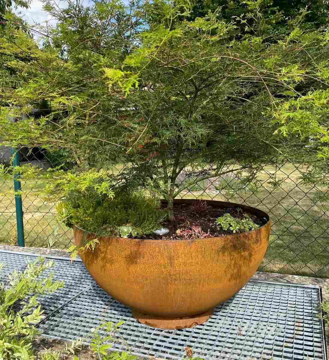 120 cm große Rost-Pflanzschale für den Garten für Bäumchen