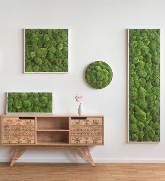Kugelmoosbilder Greenbop 01