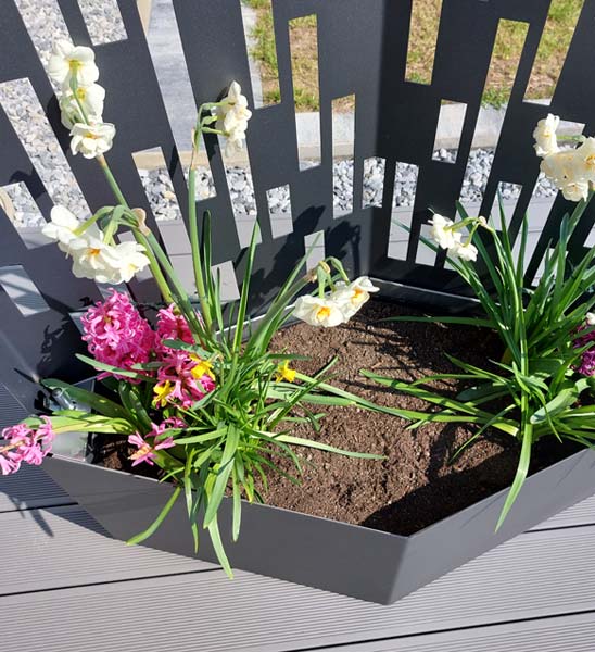 Design Pflanzkübel ELMAS mit Spalier als Sichtschutzelement für die Terrasse