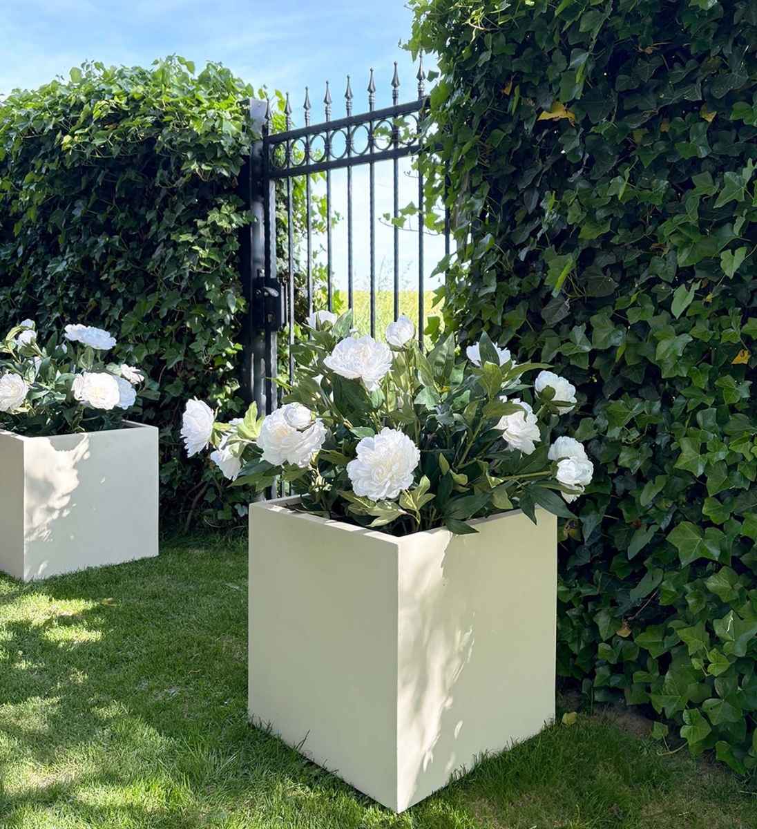 Pflanzkübel eckig beige Steinoptik mit Rosen im Garten