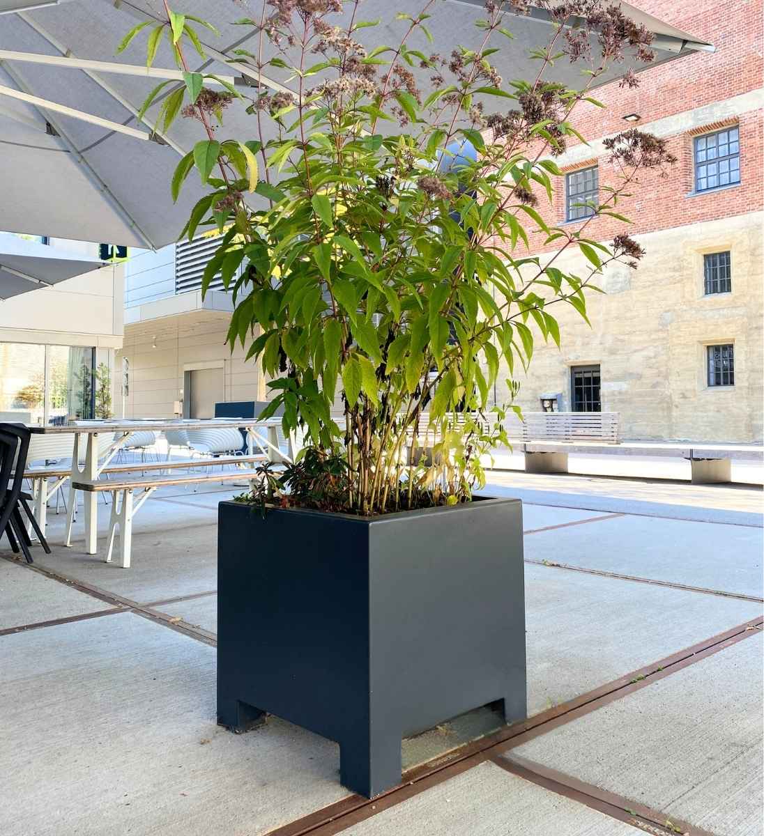 Aluminium Pflanzkuebel Mit Fuessen Quadratisch Restaurant Terrasse Bepflanzt