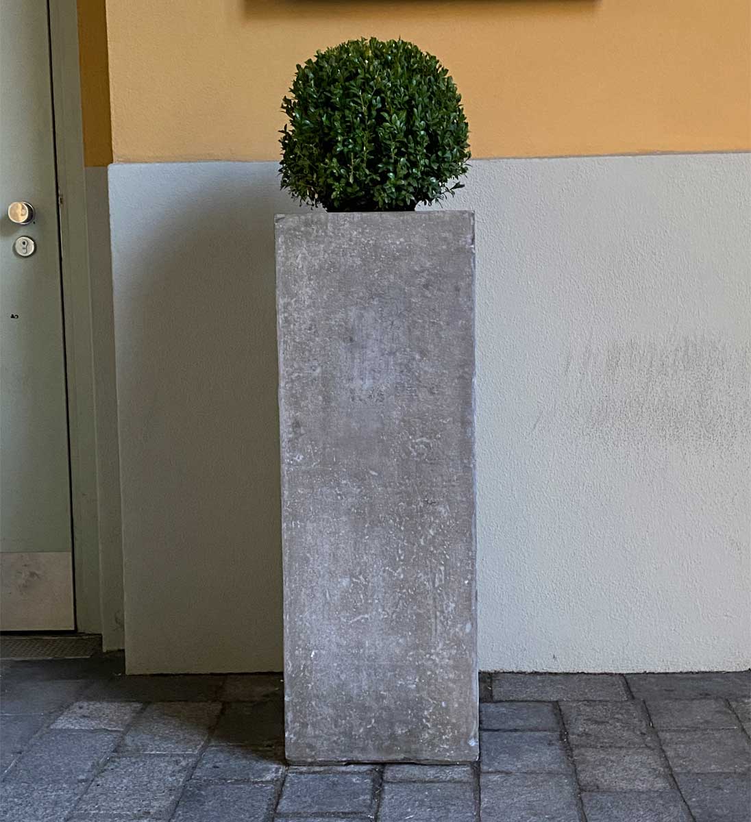 Pflanzsaeule Beton Eckig Hoch Eingang Mit Buxus