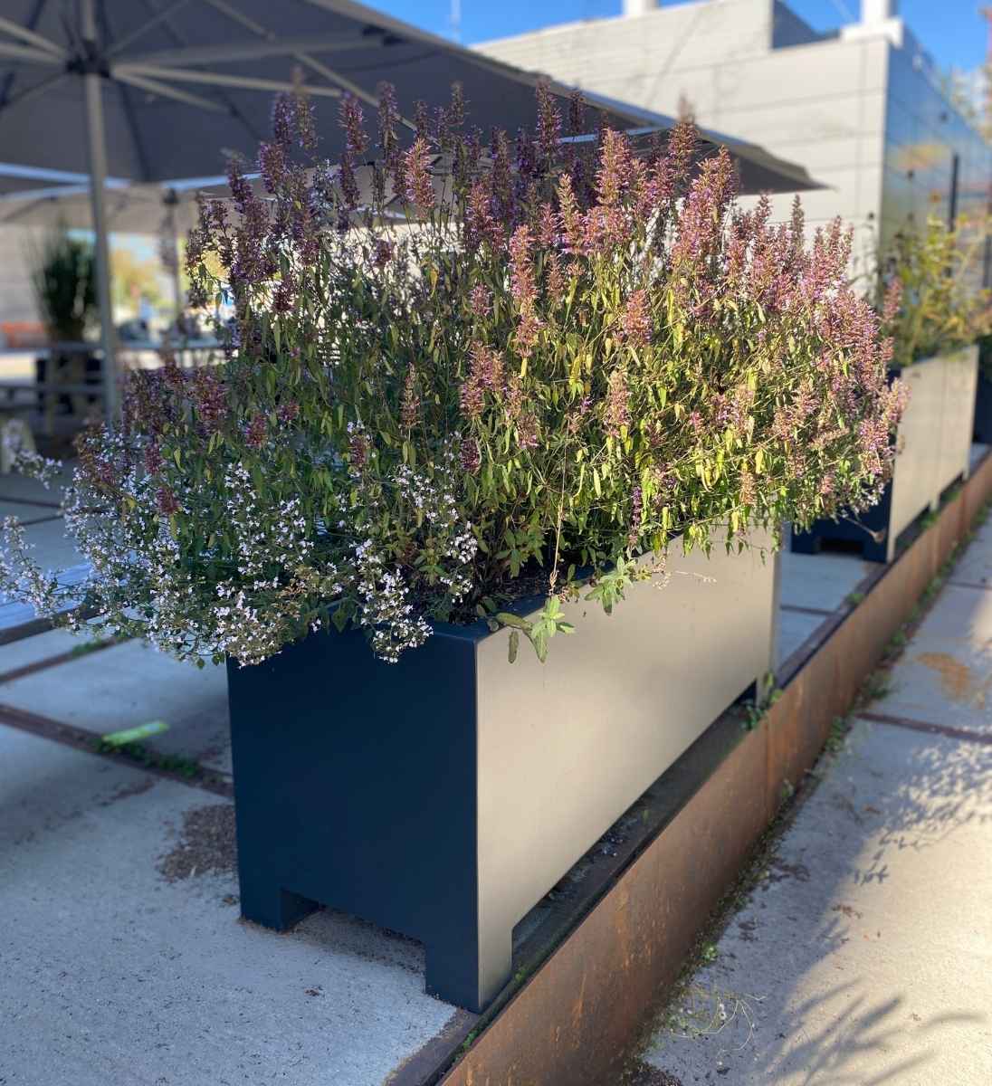 Aluminium Pflanzkuebel Rechteckig Mit Fuessen Terrasse Anthrazit