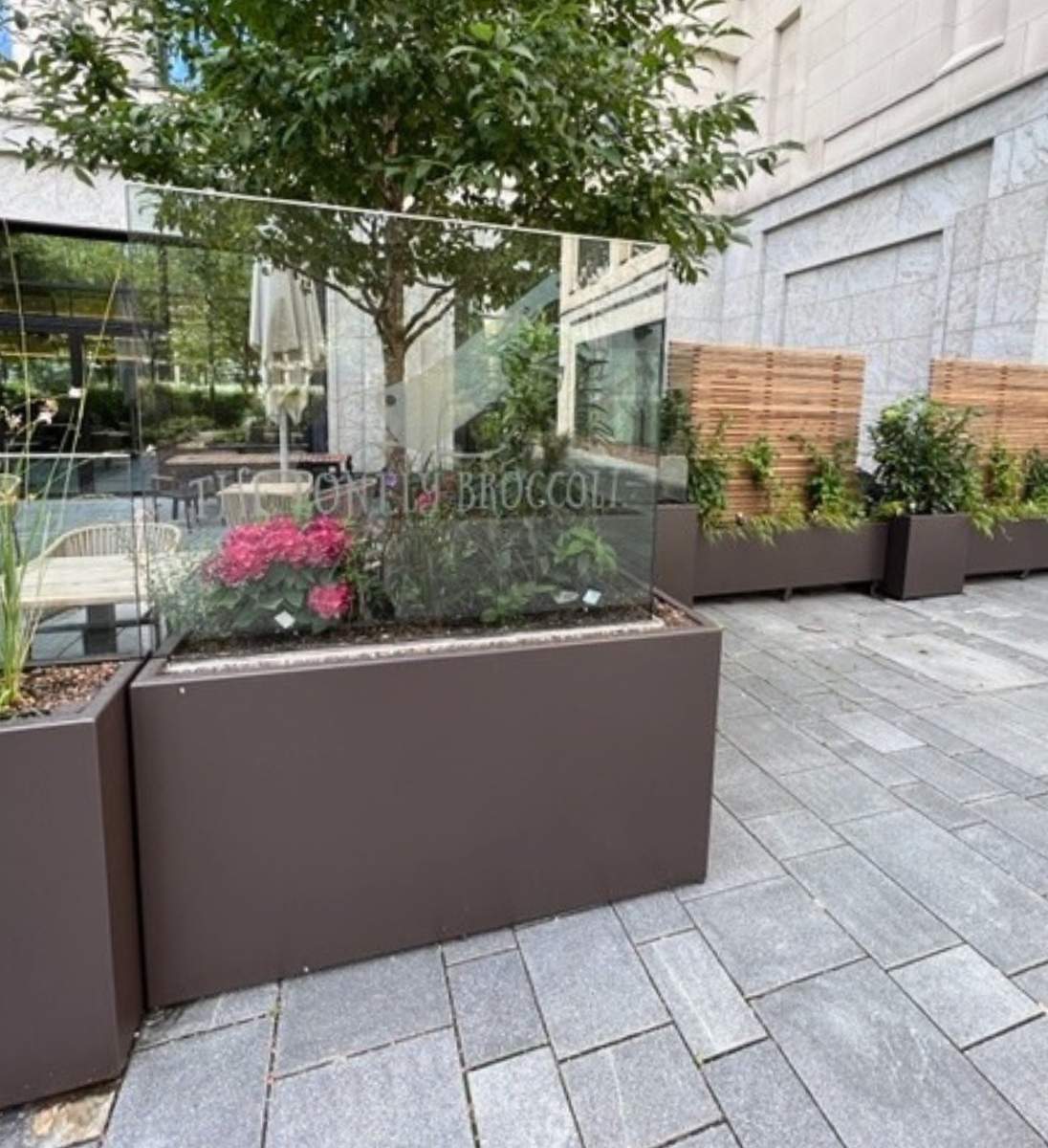Gartensilber Quader Bepflanzt Mit Windschutz
