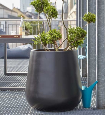 Bauchiger Blumenkuebel in Schwarz auf Terrasse