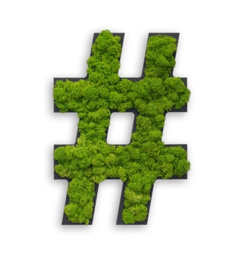 Hashtag Zeichen aus Moos als Wanddekoration