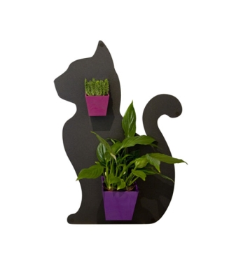 Kalamitica Katze