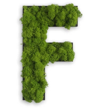 Moos Buchstaben von a bis Z für die Wand