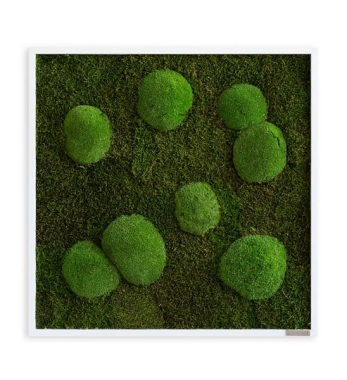 Echtes Moosbild im Rahmen mit dem Maß 55 x 55 cm