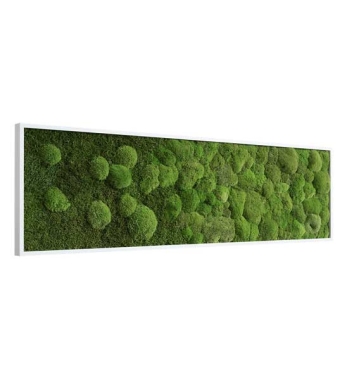 Seitenansicht Moosbild mit Verlauf 140 x 40 cm