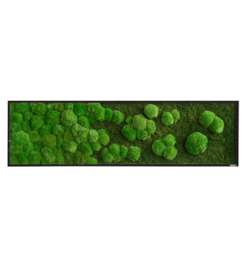 Seitenansicht Moosbild mit Verlauf 140 x 40 cm