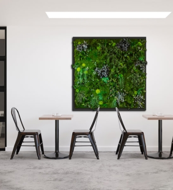 Pflanzenbild Xxl Dschungel Eckig