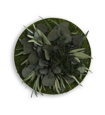 rundes Pflanzenbild Green-Islands BLOOM