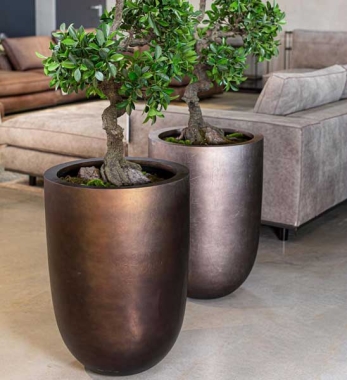 Exkusives Pflanzgefäß ROYAL antik Bronze bepflanzt im Wohnzimmer
