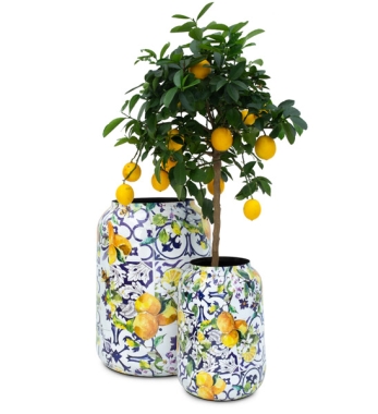 Pflanzgefäß LEMON FUSION aus Aluminium 40cm, 50cm