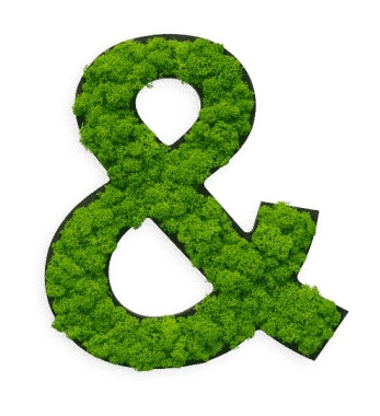 Sonderzeichen "&" aus Islandmoos von styleGREEN