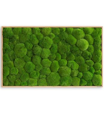 Kugelmoosbild 100x60cm rechteckig