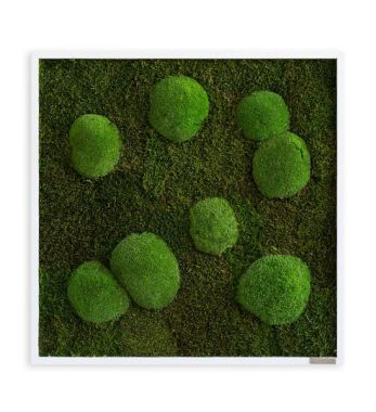 Echtes Moosbild im Rahmen mit dem Maß 55 x 55 cm