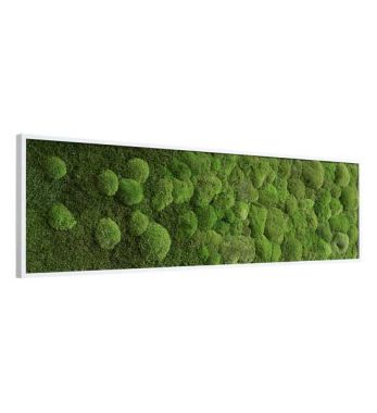 Seitenansicht Moosbild mit Verlauf 140 x 40 cm